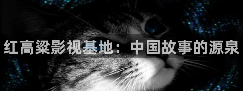 宅男视频免费 看