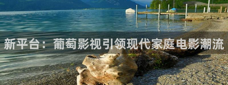 国产宅男视频在线播放