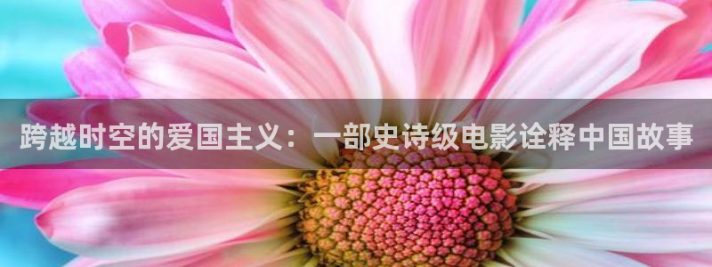 在线免费观看宅男视频