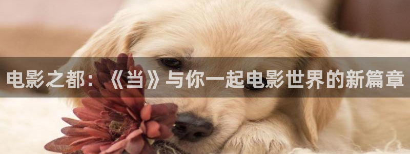 深夜宅男视频福利