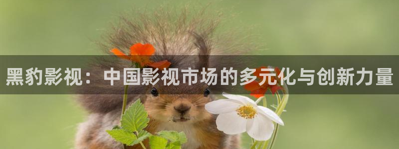 宅男视频在线免费看