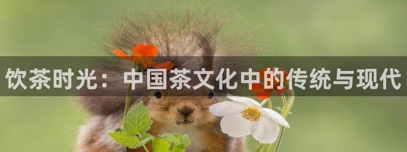 宅男视频免费观看下载