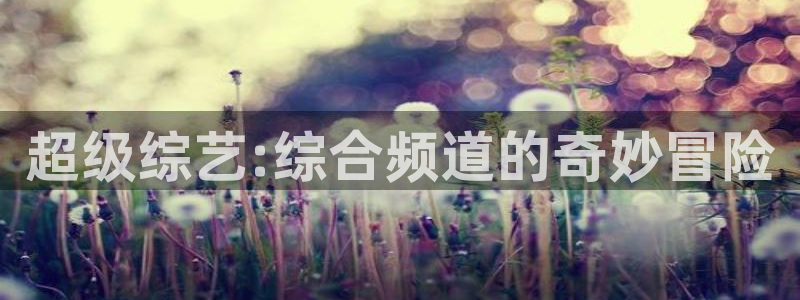 宅男视频神马视频：超级综艺:综合频道的奇妙冒险