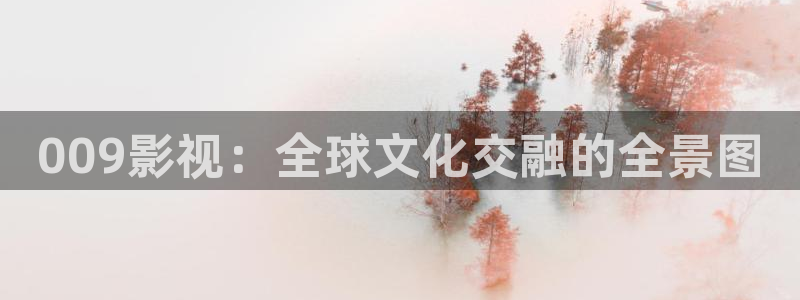 国产羞羞宅男视频：009影视：全球文化交融的全景图