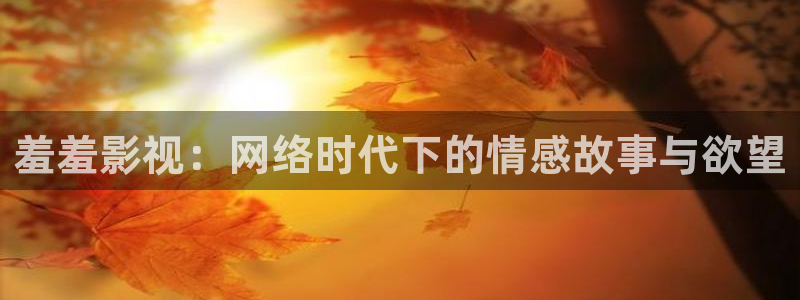 宅男视频午夜：羞羞影视：网络时代下的情感故事与欲望