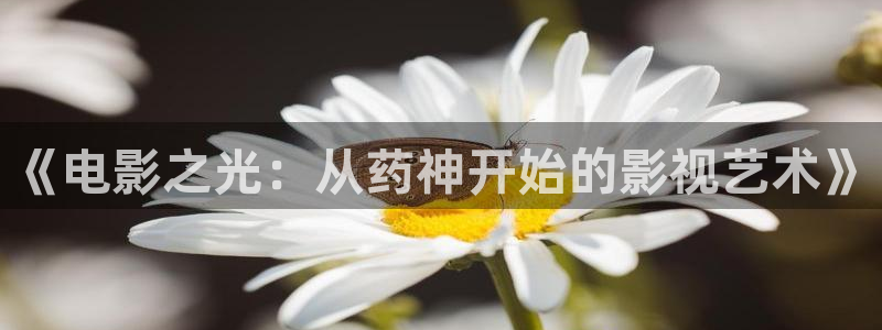 污宅男视频