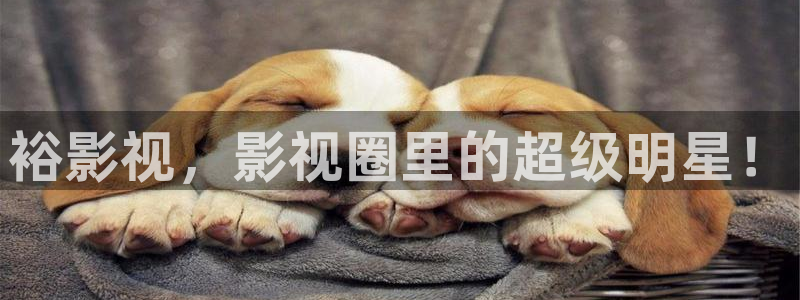 宅男视频破解：裕影视，影视圈里的超级明星！
