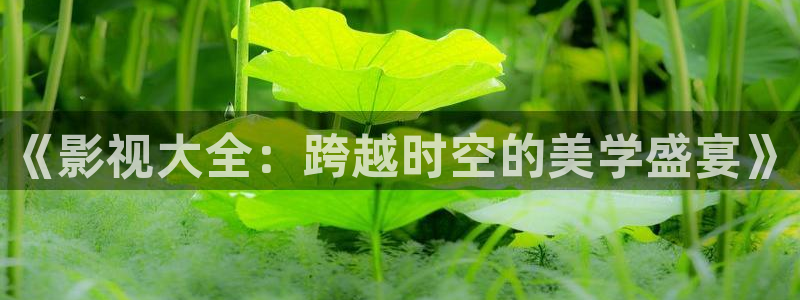 宅男视频在线观看：《影视大全：跨越时空的美学盛宴》